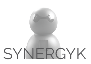 Synergyk original team-building program